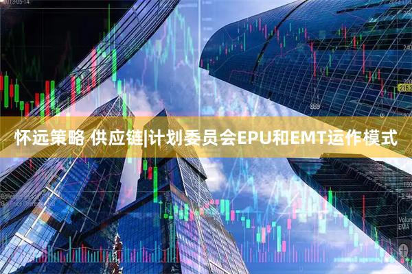 怀远策略 供应链|计划委员会EPU和EMT运作模式