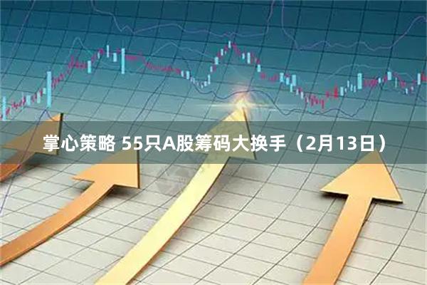 掌心策略 55只A股筹码大换手（2月13日）