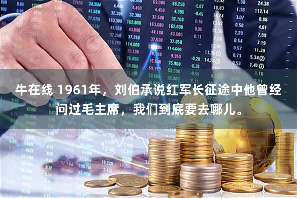 牛在线 1961年，刘伯承说红军长征途中他曾经问过毛主席，我们到底要去哪儿。
