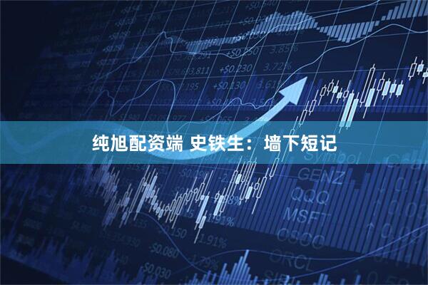 纯旭配资端 史铁生：墙下短记