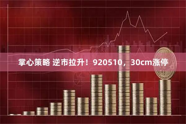 掌心策略 逆市拉升！920510，30cm涨停