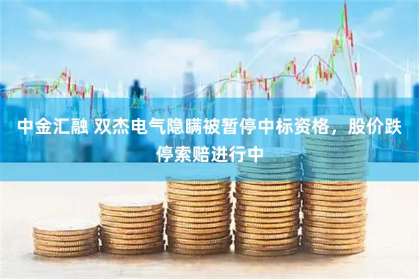 中金汇融 双杰电气隐瞒被暂停中标资格，股价跌停索赔进行中